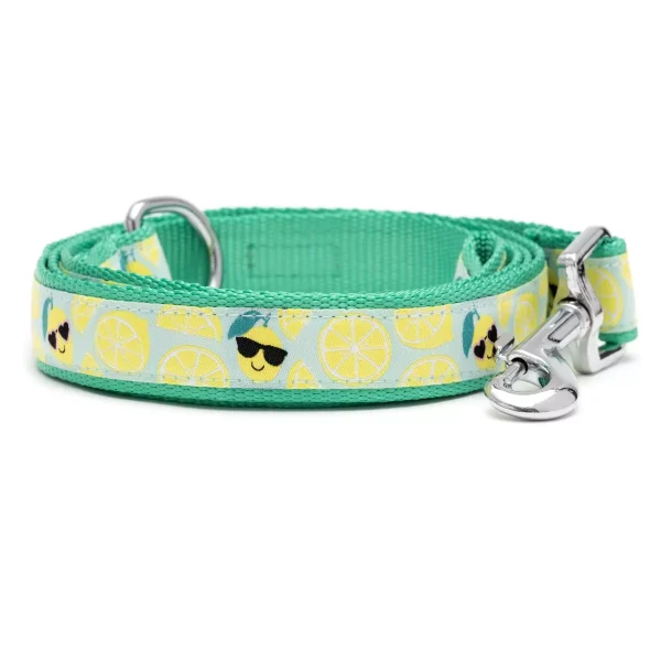 Lemons Pet Leash